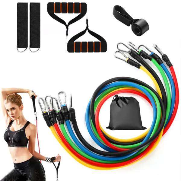 Resistance Tube Bands Set with Handles & Carry Bag
